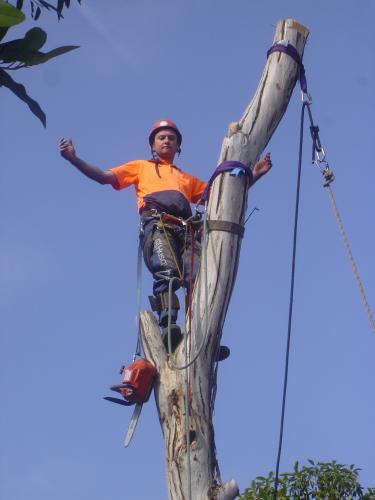 Hard at work